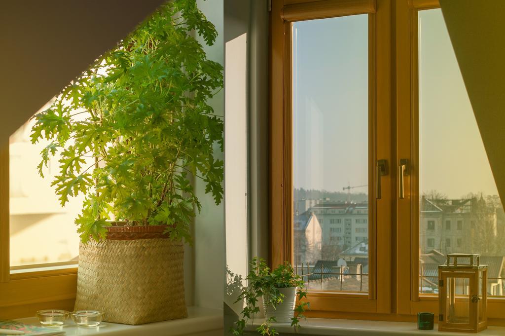 Ludwinowski Apartament *